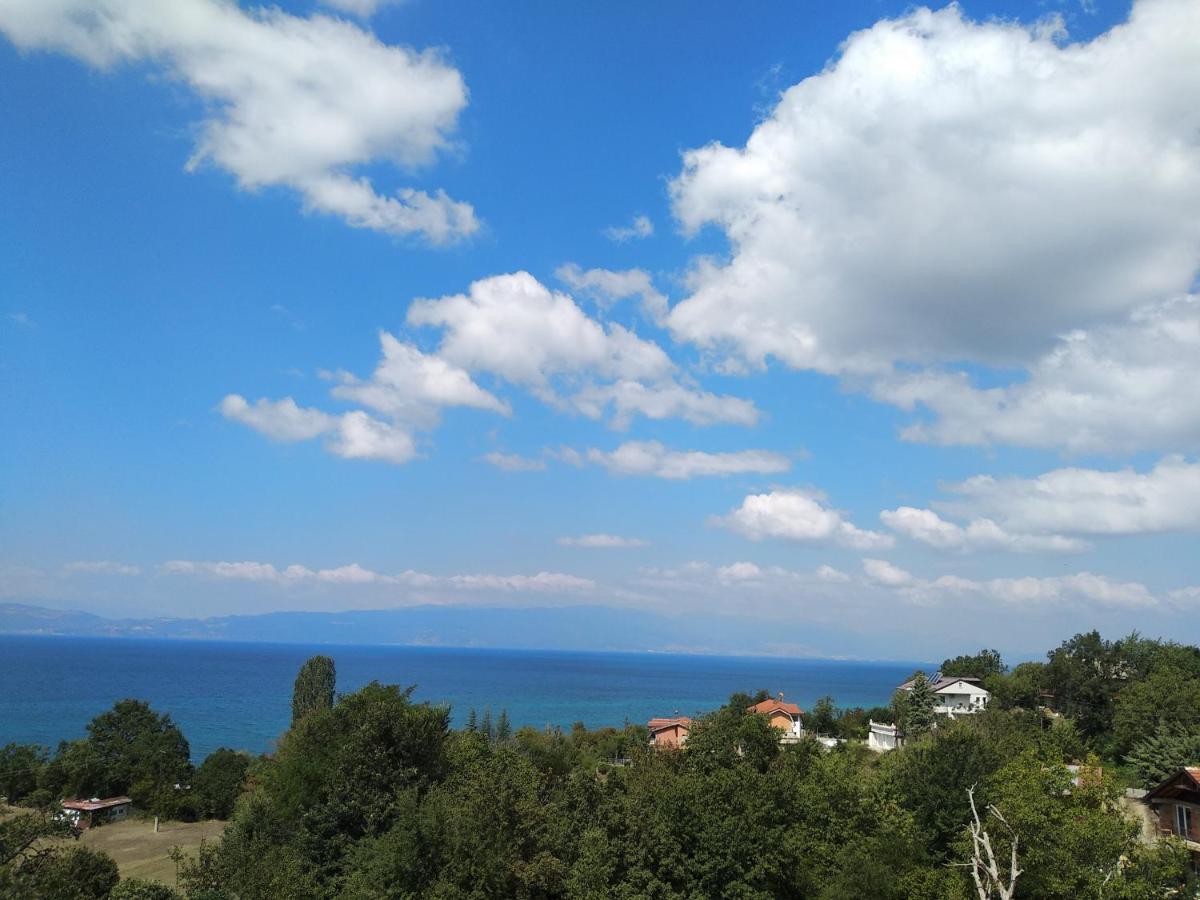 The Brothers Villa Hotel Ohrid Exterior foto