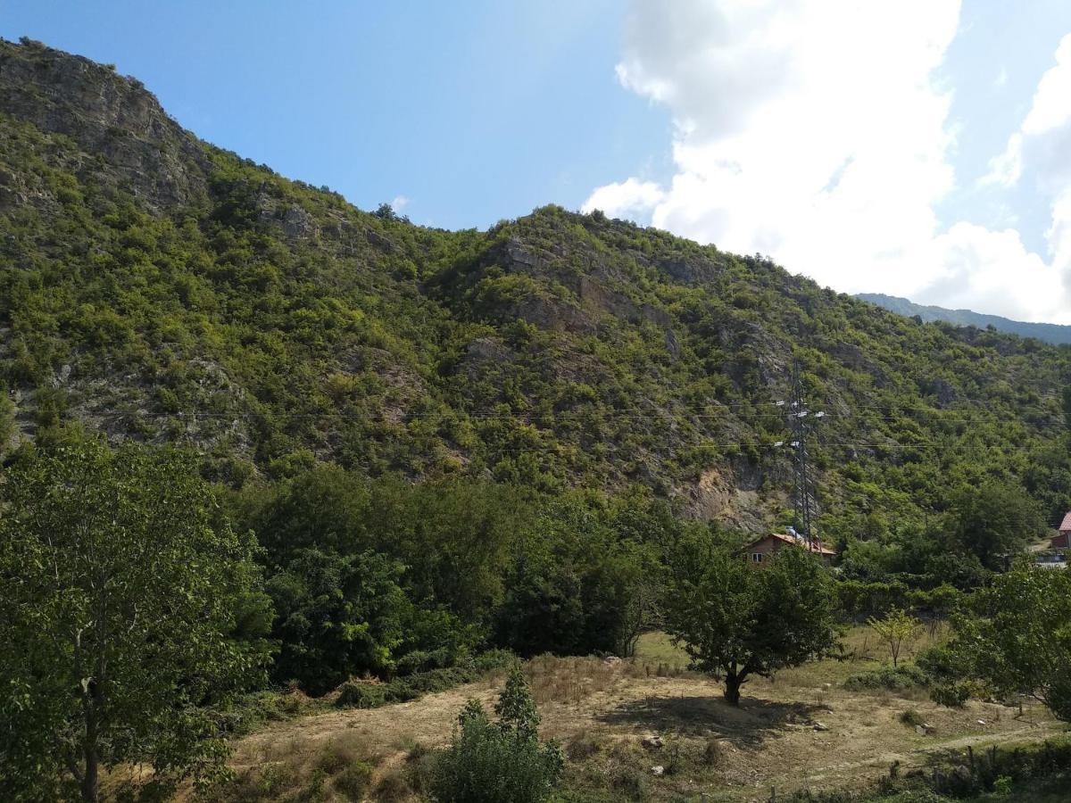The Brothers Villa Hotel Ohrid Exterior foto