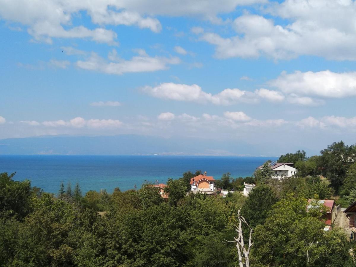 The Brothers Villa Hotel Ohrid Exterior foto