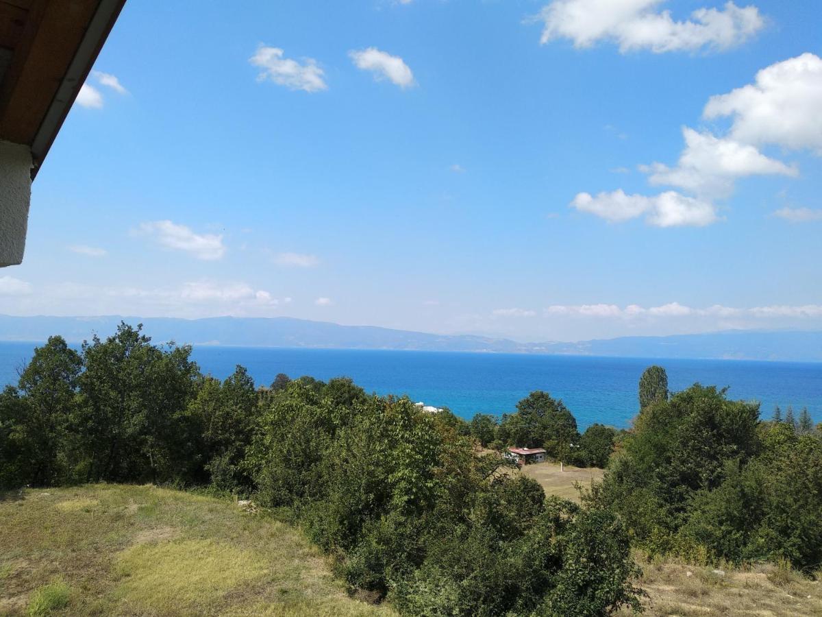The Brothers Villa Hotel Ohrid Exterior foto