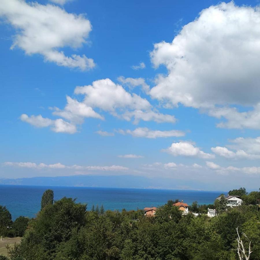 The Brothers Villa Hotel Ohrid Exterior foto
